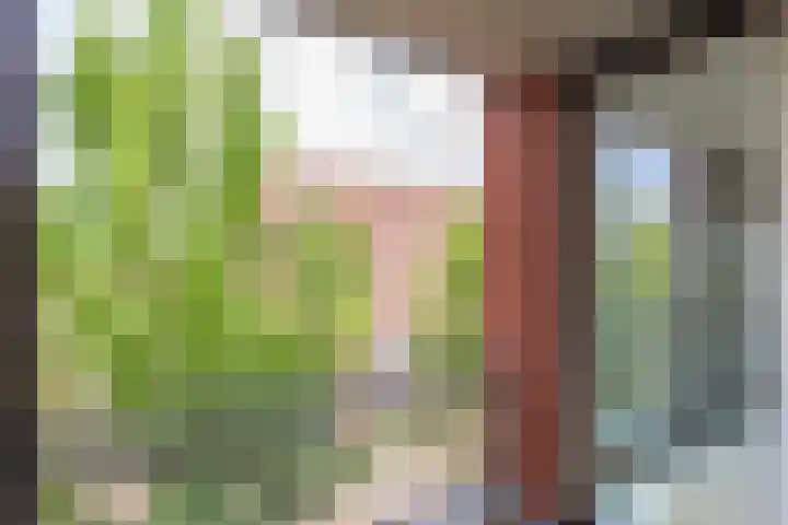 Voormeer 76 Alkmaar thumbnail 31