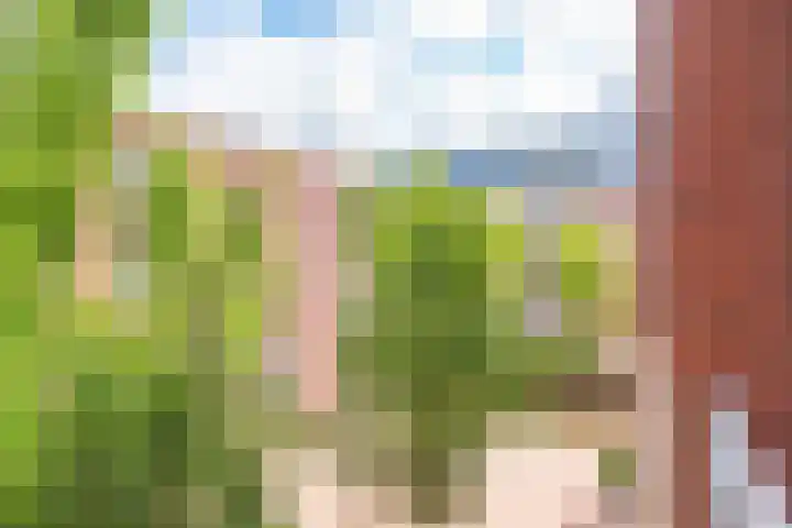 Voormeer 76 Alkmaar thumbnail 33