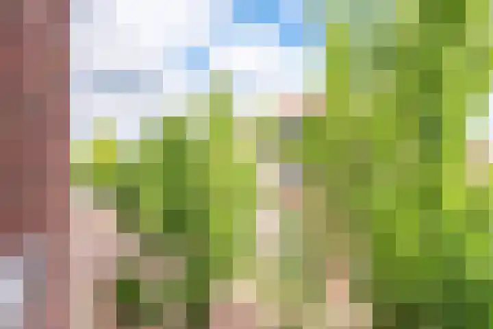 Voormeer 76 Alkmaar thumbnail 34