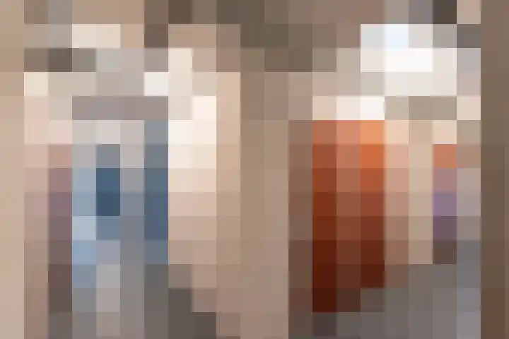 Voormeer 76 Alkmaar thumbnail 35