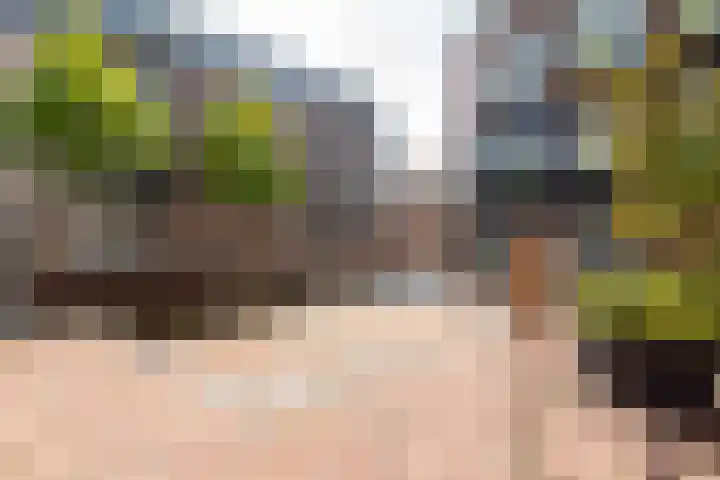 Voormeer 76 Alkmaar thumbnail 38