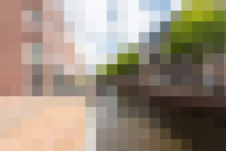 Voormeer 76 Alkmaar thumbnail 40