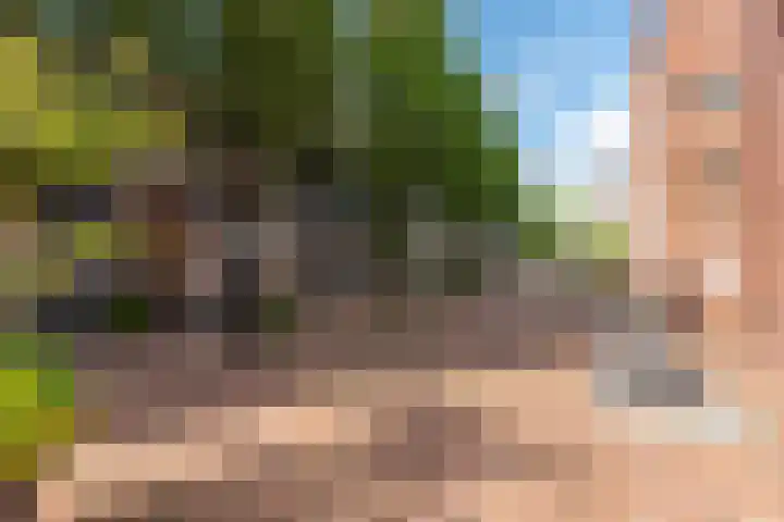 Voormeer 76 Alkmaar thumbnail 41