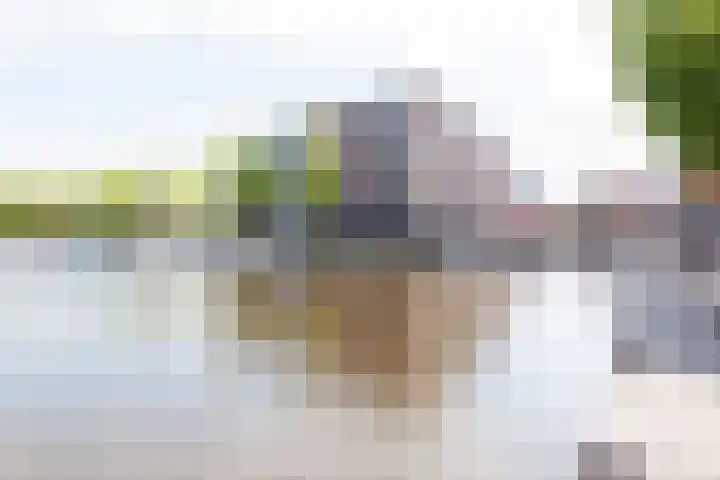 Voormeer 76 Alkmaar thumbnail 42