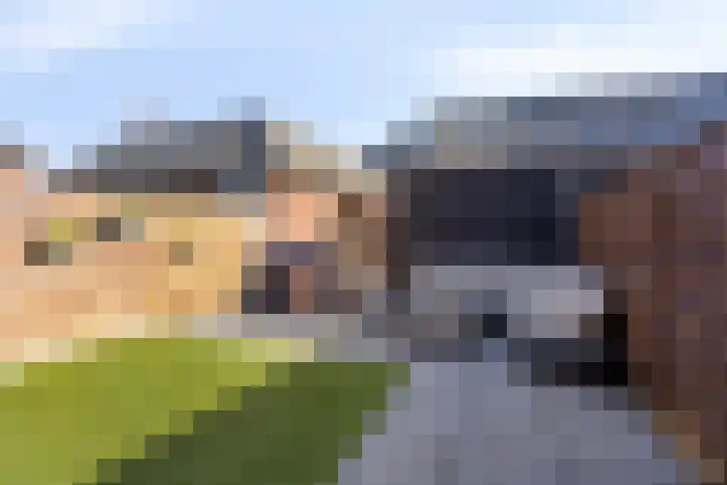 Voormeerstraat 4 Den Haag thumbnail 5