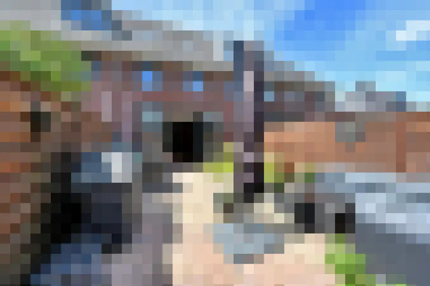 Voormeerstraat 6 Den Haag thumbnail 20