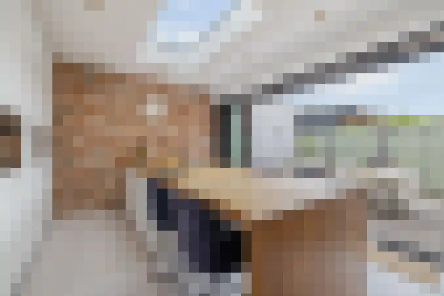 Voormeulenweg 44 Bussum thumbnail 12