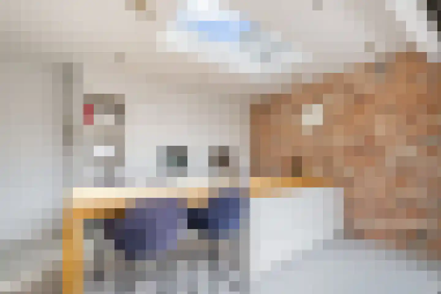 Voormeulenweg 44 Bussum thumbnail 18