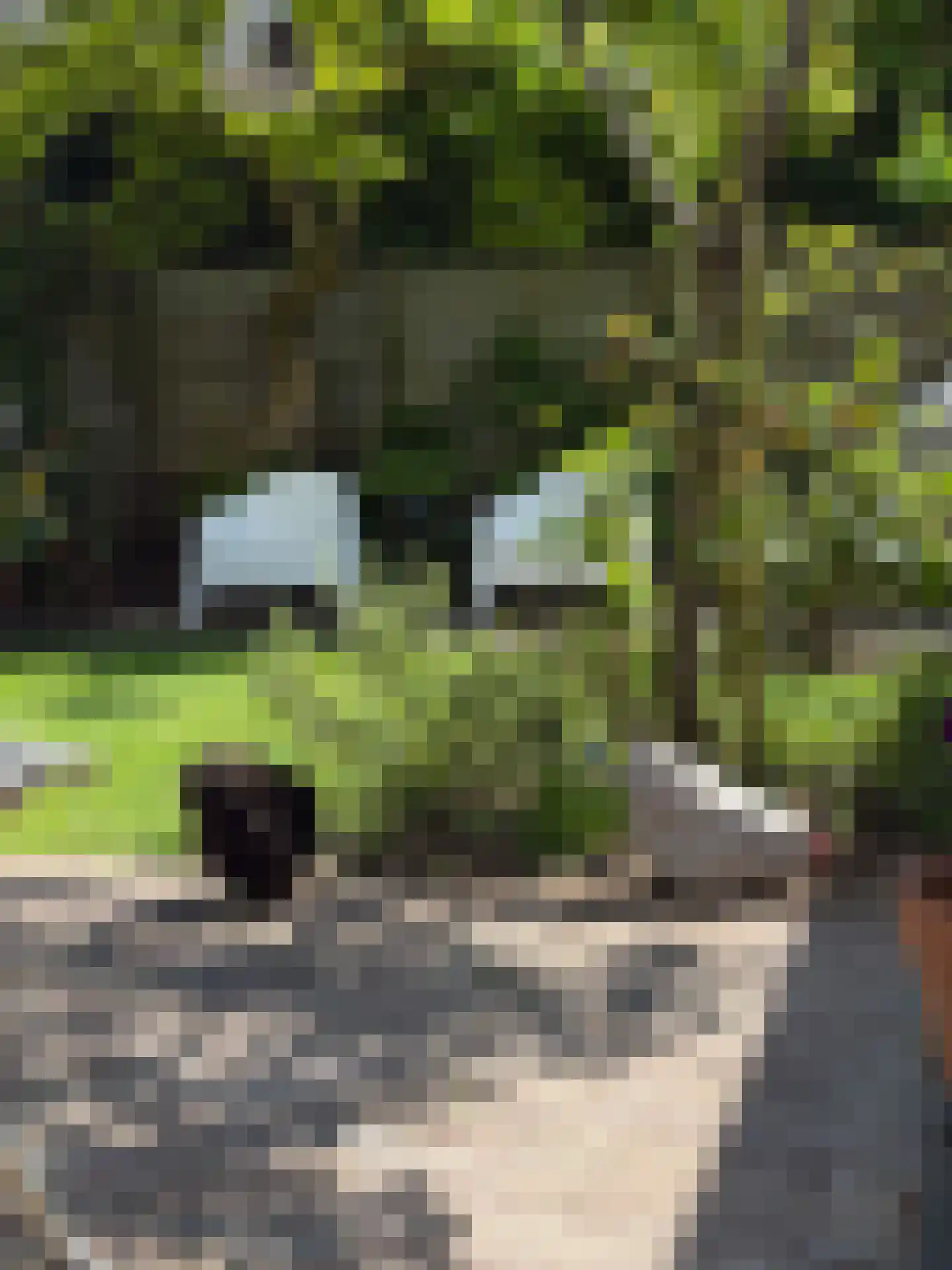 Voormeulenweg 56 Bussum thumbnail 37