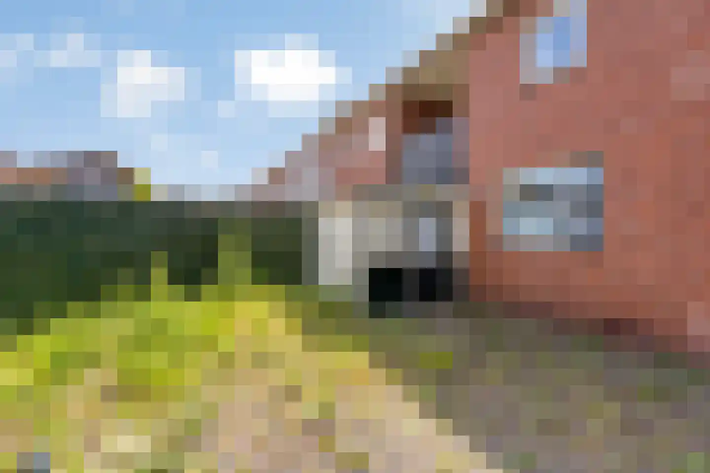 Voormolenstraat 1 Veendam thumbnail 38