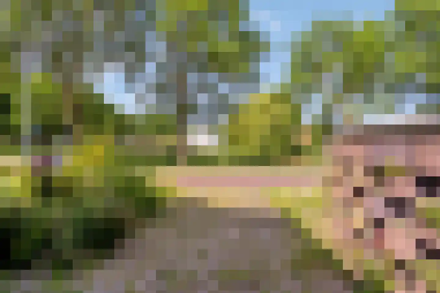Voormolenstraat 1 Veendam thumbnail 39