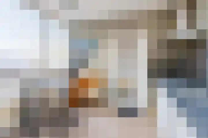 Voormolenstraat 63 Veendam thumbnail 14