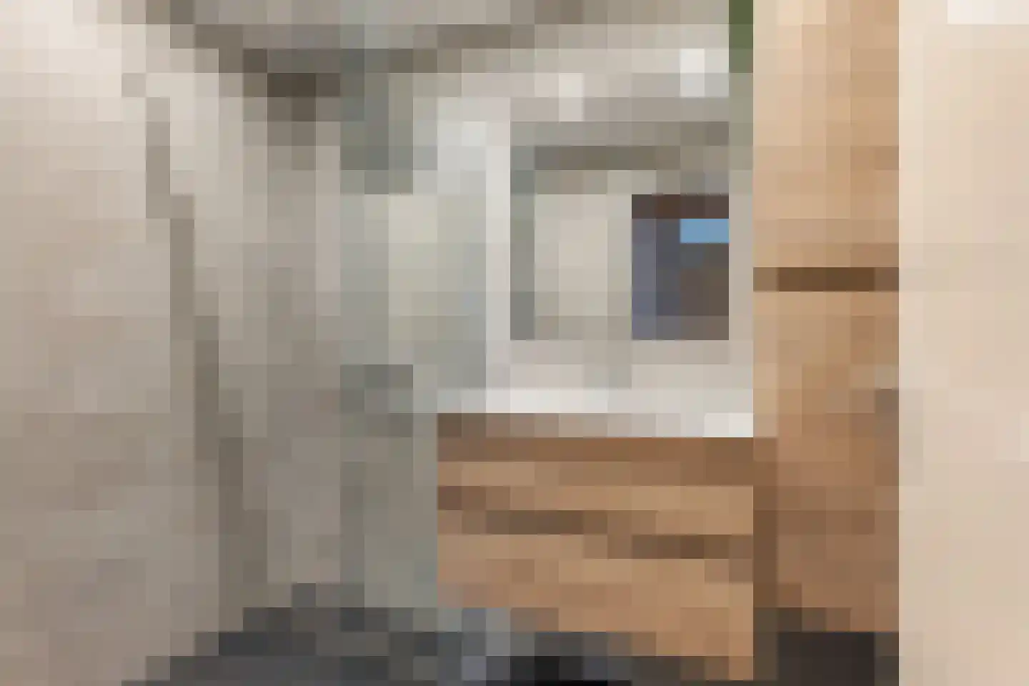Voormolenstraat 65 Veendam thumbnail 18