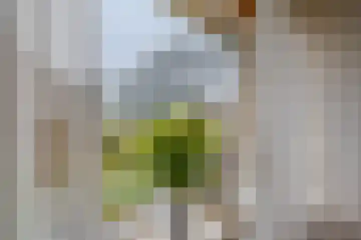 Voormolenstraat 7 Veendam thumbnail 15