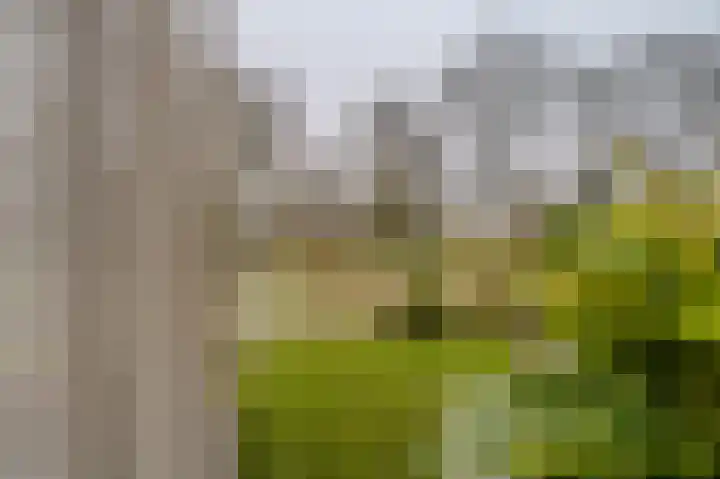 Voormolenstraat 7 Veendam thumbnail 16
