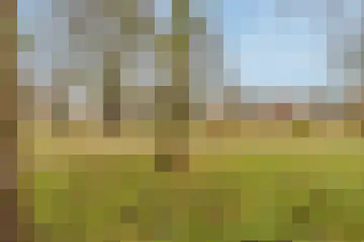 Voormolenstraat 7 Veendam thumbnail 56