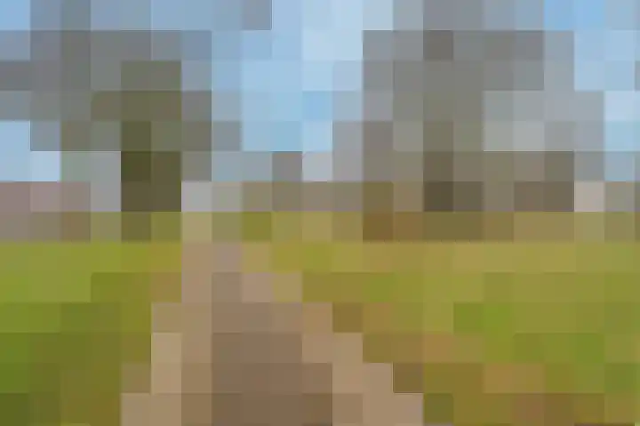 Voormolenstraat 7 Veendam thumbnail 57