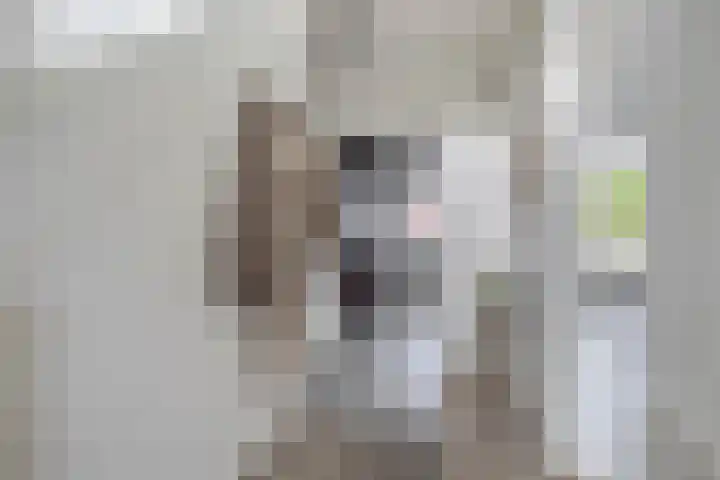 Voormolenstraat 9 Veendam thumbnail 14