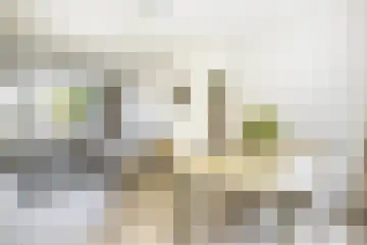 Voormolenstraat 9 Veendam thumbnail 15