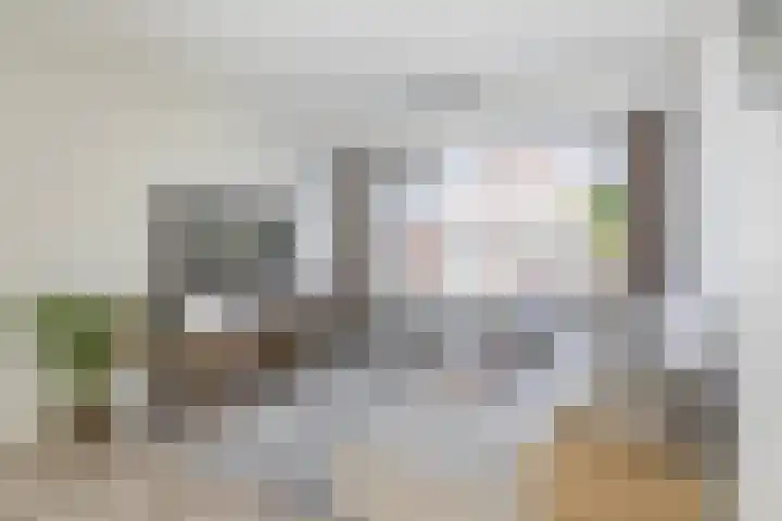 Voormolenstraat 9 Veendam thumbnail 16