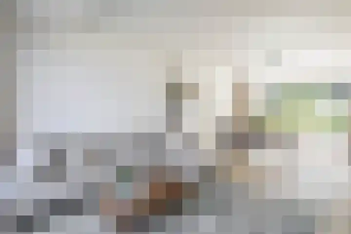 Voormolenstraat 9 Veendam thumbnail 18