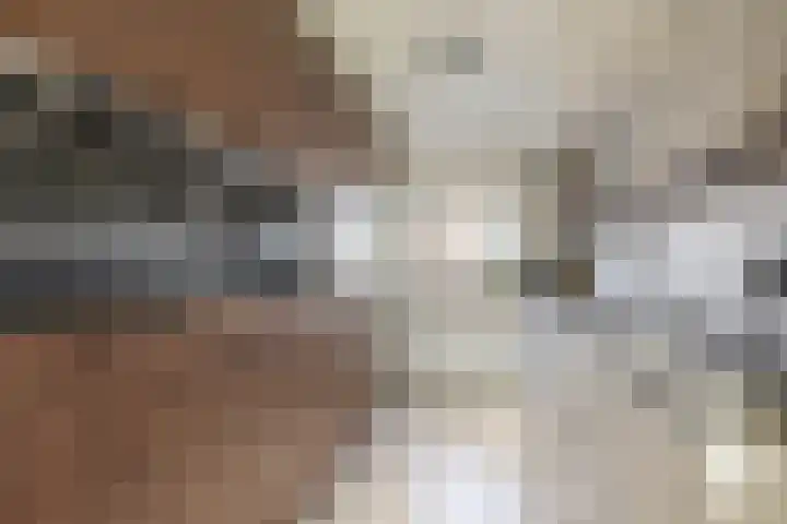 Voormolenstraat 9 Veendam thumbnail 21