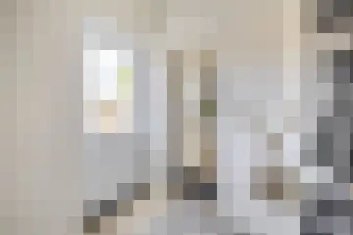 Voormolenstraat 9 Veendam thumbnail 26