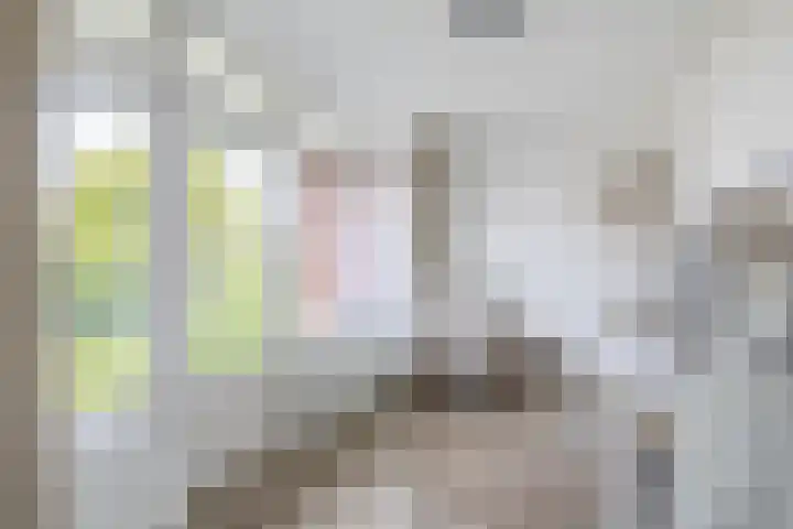 Voormolenstraat 9 Veendam thumbnail 30