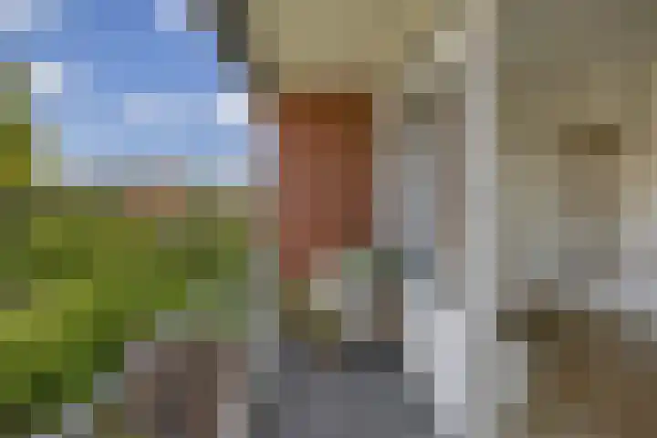 Voormolenstraat 9 Veendam thumbnail 31
