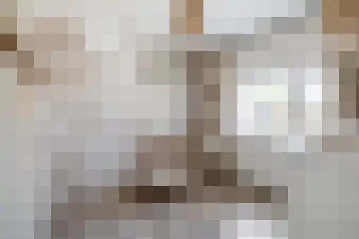 Voormolenstraat 9 Veendam thumbnail 32