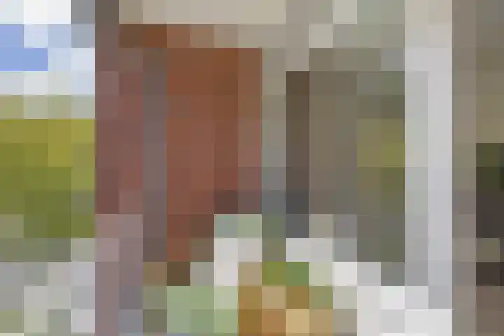 Voormolenstraat 9 Veendam thumbnail 34