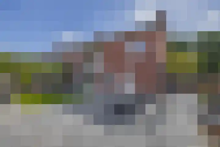 Voormolenstraat 9 Veendam thumbnail 39