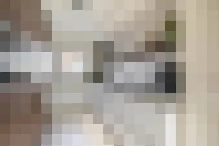 Voormolenstraat 9 Veendam thumbnail 4