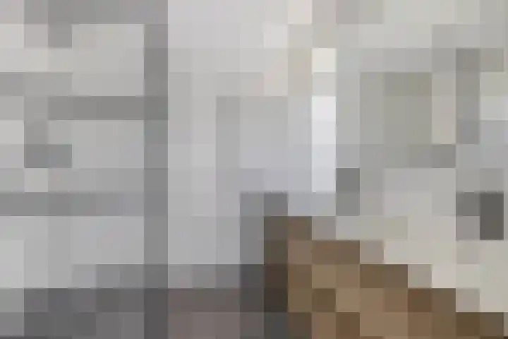 Voormolenstraat 9 Veendam thumbnail 5