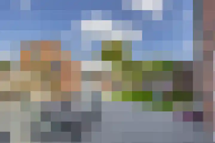 Voormolenstraat 9 Veendam thumbnail 6