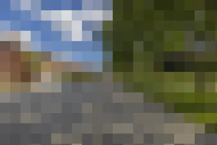 Voormolenstraat 9 Veendam thumbnail 8