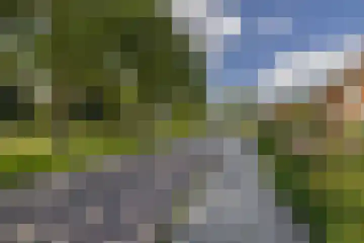 Voormolenstraat 9 Veendam thumbnail 9