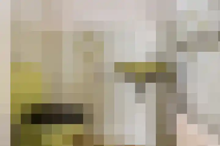 Voormors 112 Enter thumbnail 13