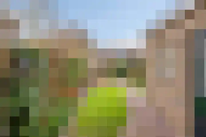 Voormors 112 Enter thumbnail 29