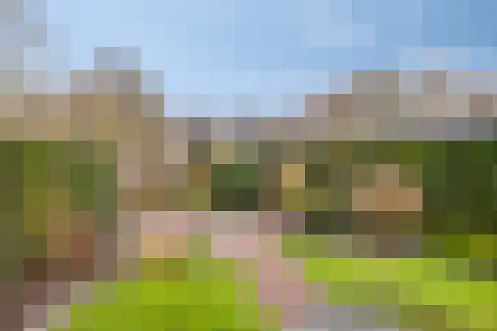Voormors 112 Enter thumbnail 30