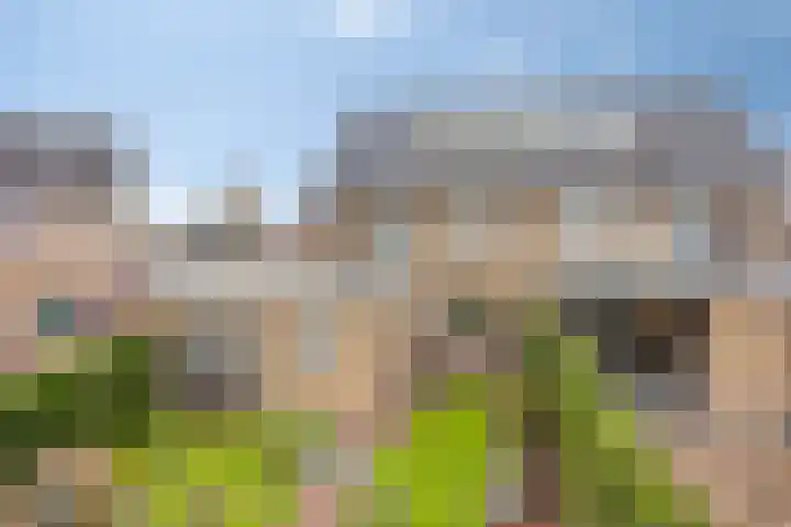 Voormors 112 Enter thumbnail 34
