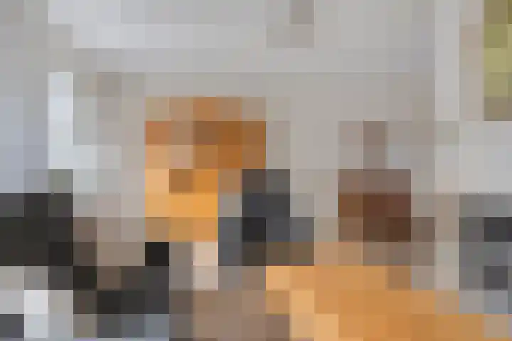 Voormors 112 Enter thumbnail 6