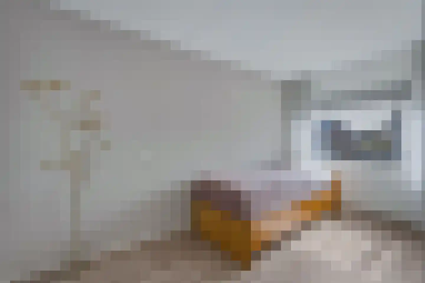 Voormors 34 Enter thumbnail 16