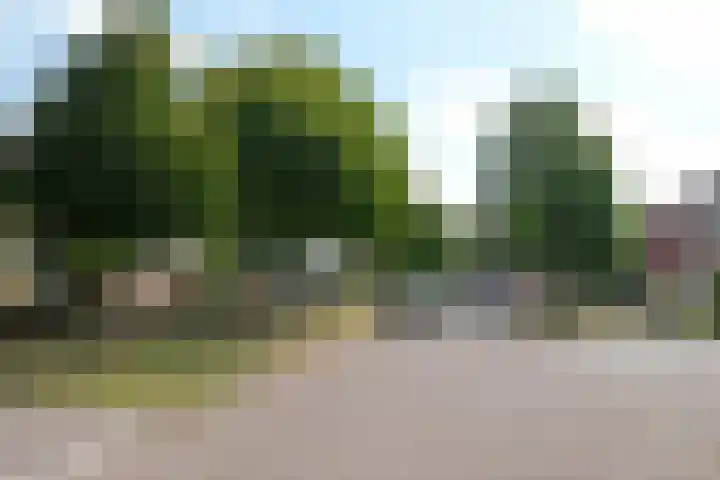 Voormors 67 Enter thumbnail 22