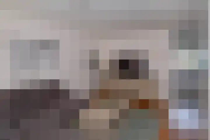 Voormors 67 Enter thumbnail 4