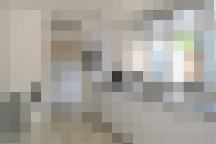 Voormors 67 Enter thumbnail 8