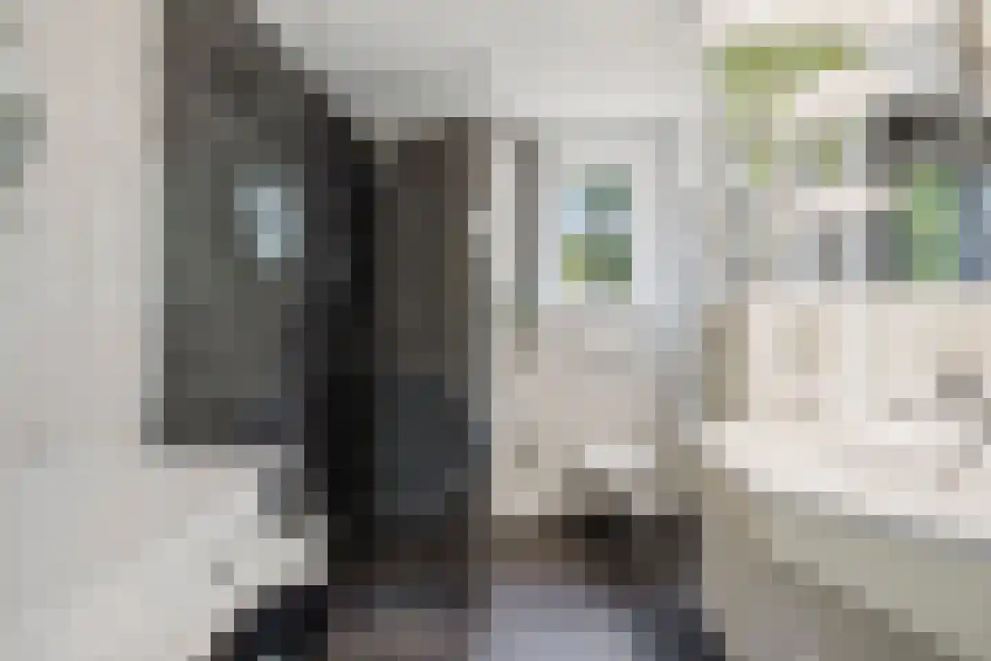 Voorn 1 Huizen thumbnail 16