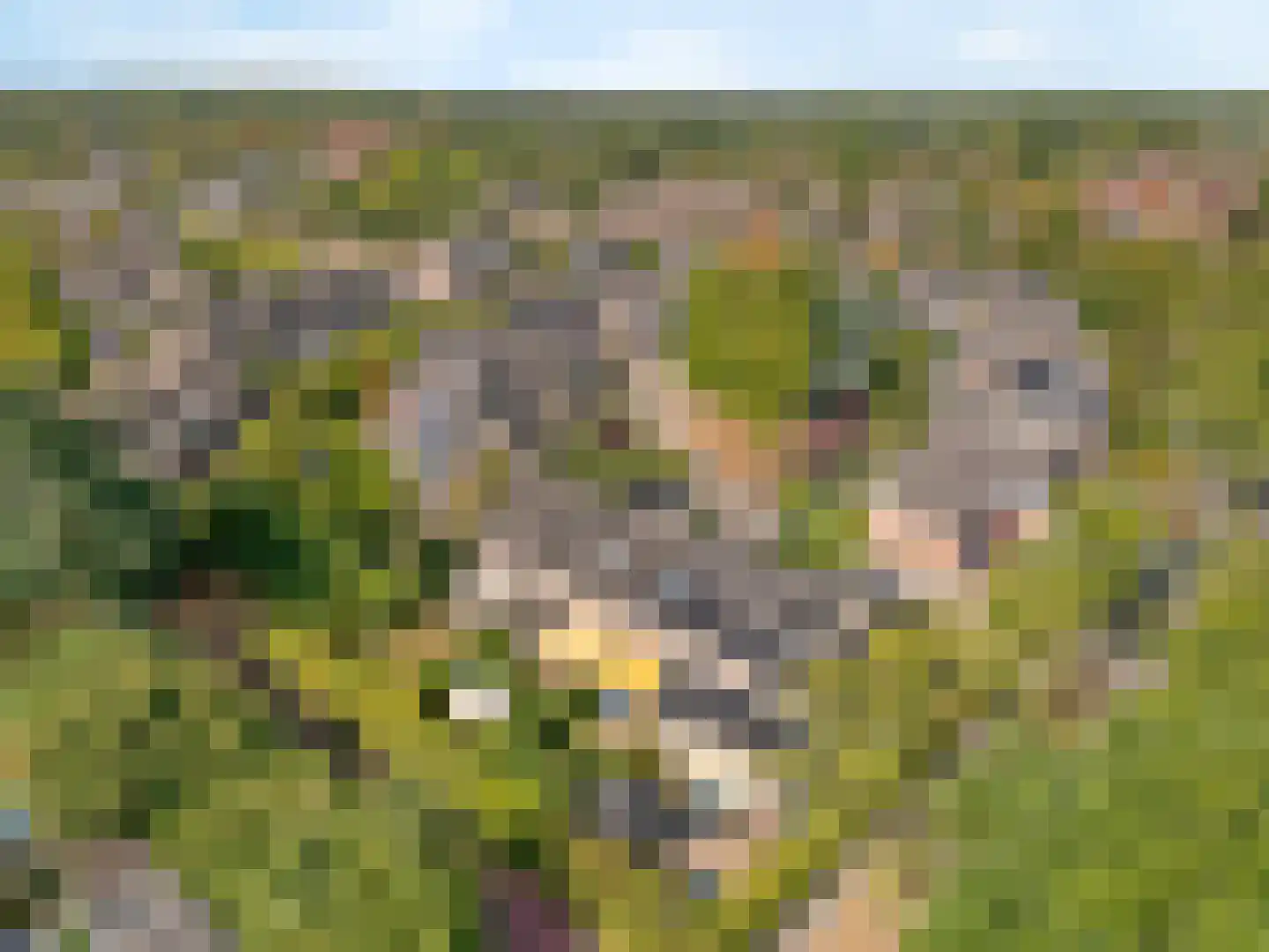Voorn 1 Huizen thumbnail 38