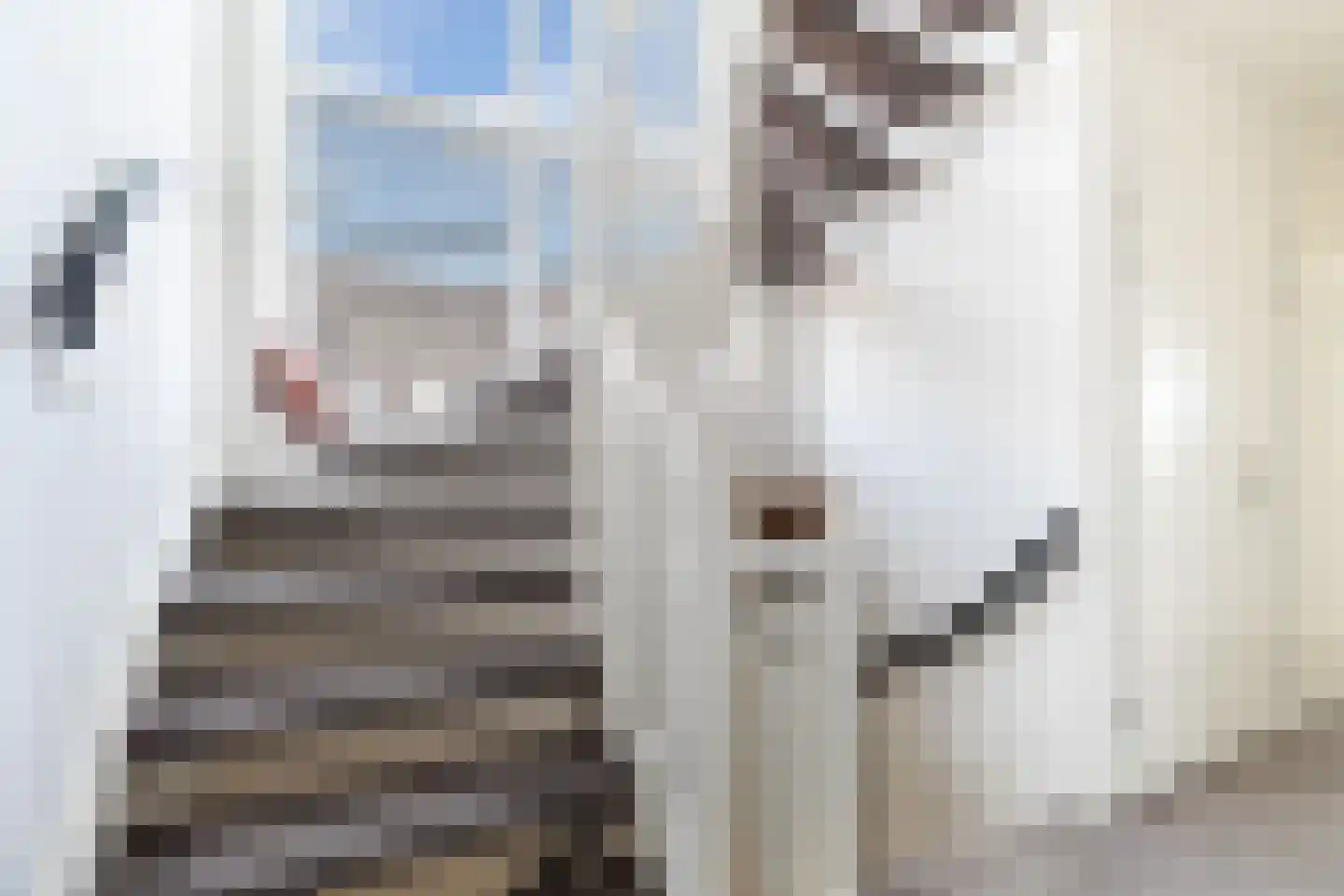 Voorn 120 Hendrik-Ido-Ambacht thumbnail 30