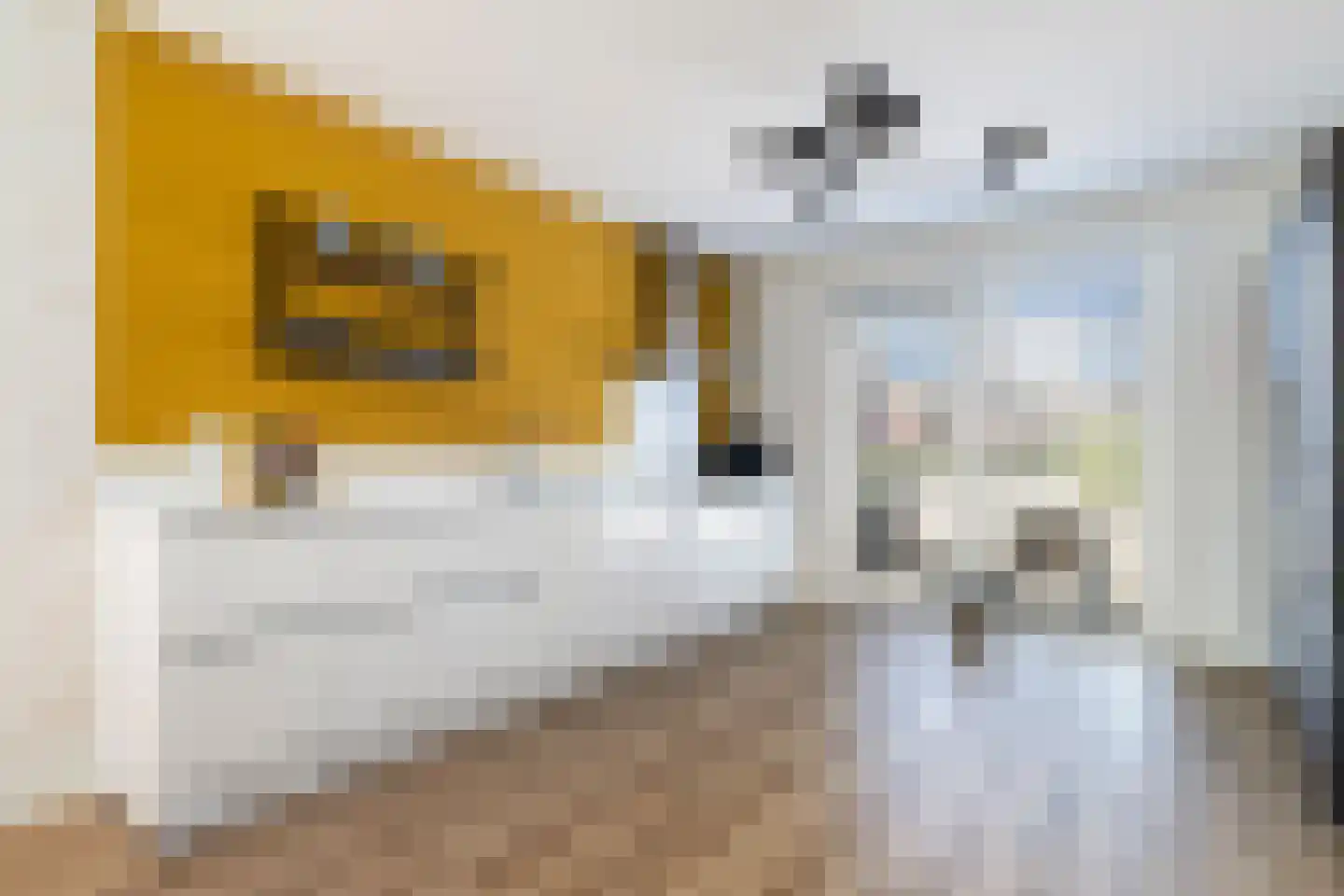 Voorn 120 Hendrik-Ido-Ambacht thumbnail 4